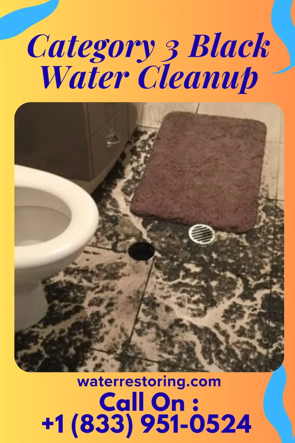 Category 3 Black Water Cleanup in Kimball, NE